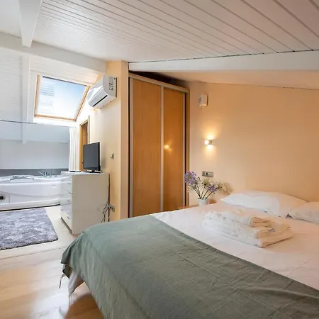 Apartment Luxury Duplex Penthouse With Terrace-old Town *