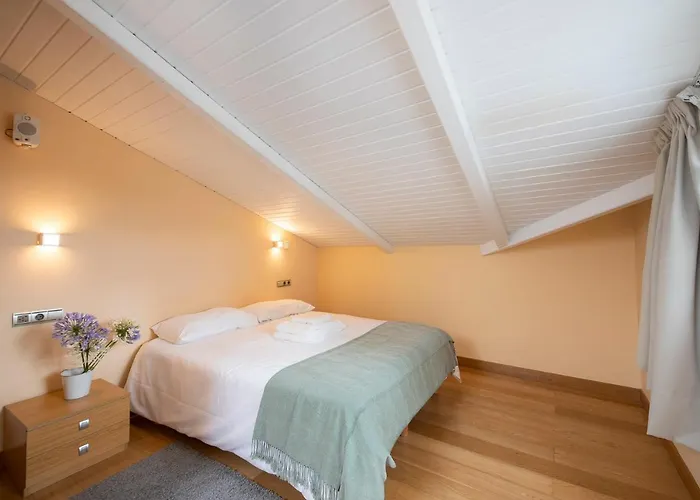 Luxury Duplex Penthouse With Terrace-old Town *